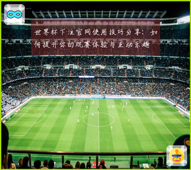 世界杯下注官网使用技巧分享：如何提升你的观赛体验与互动乐趣