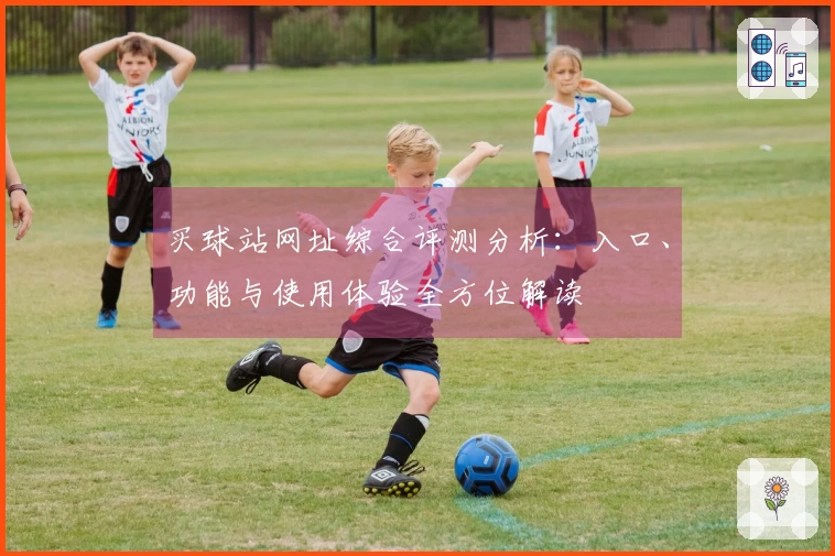 买球站网址综合评测分析：入口、功能与使用体验全方位解读