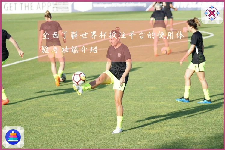全面了解世界杯投注平台的使用体验与功能介绍