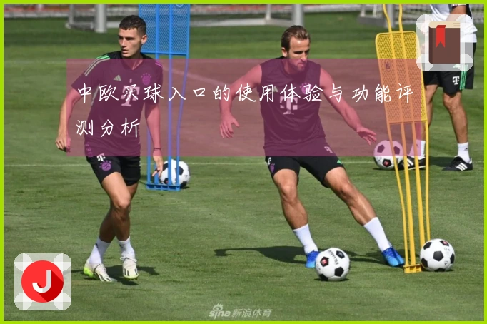 中欧买球入口的使用体验与功能评测分析