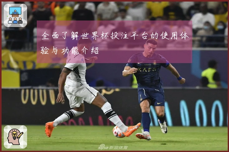 全面了解世界杯投注平台的使用体验与功能介绍