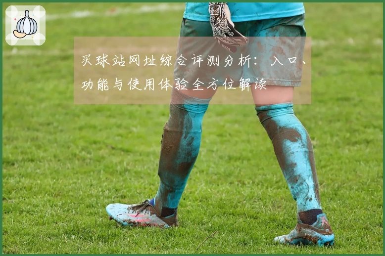 买球站网址综合评测分析：入口、功能与使用体验全方位解读