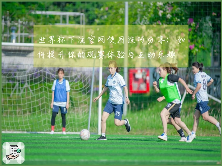 世界杯下注官网使用技巧分享：如何提升你的观赛体验与互动乐趣