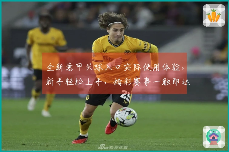 全新意甲买球入口实际使用体验，新手轻松上手，精彩赛事一触即达