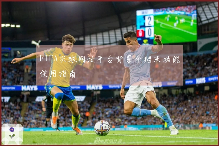 FIFA买球网址平台背景介绍及功能使用指南